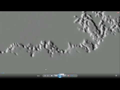 2ND DAY CAPTURE ARE They Really There 