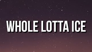 BigWalkDog - Whole Lotta Ice (Lyrics) ft. Lil Baby \& Pooh Shiesty