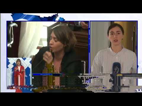 იურიდიულმა კომიტეტმა მოსამართლეებთან დაკავშირებით ეკა ბესელიას კანონპროექტს მხარი არ დაუჭირა