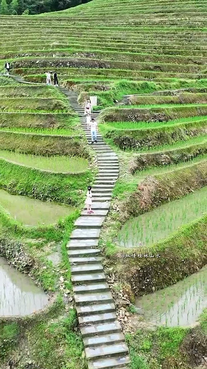 Beautiful farming china. hill farmer. mountain farming. #bollywood #music #song #agriculture