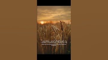 إن ربك يبسط الرزق لمن يشاء ويقدر إنه كان بعباده خبيرا بصيرا / القارئ ياسر الدوسري