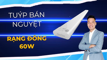 Bộ đèn LED tuýp LED bán nguyệt M66 Rạng Đông 1.2m 60W