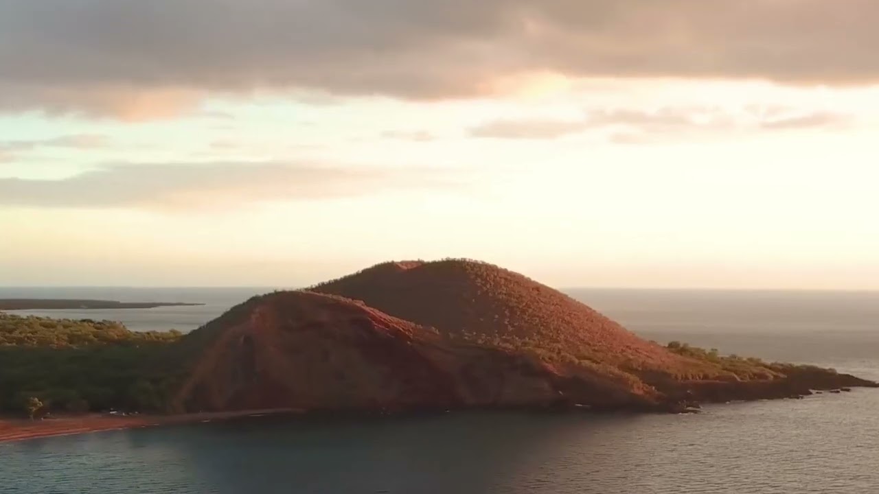 Hawaii's Largest Craft Brewery - Maui Brewing Company