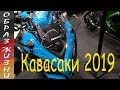 Кавасаки 2019