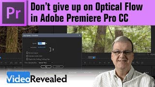 Don't give up on Optical Flow in Adobe Premiere Pro CC