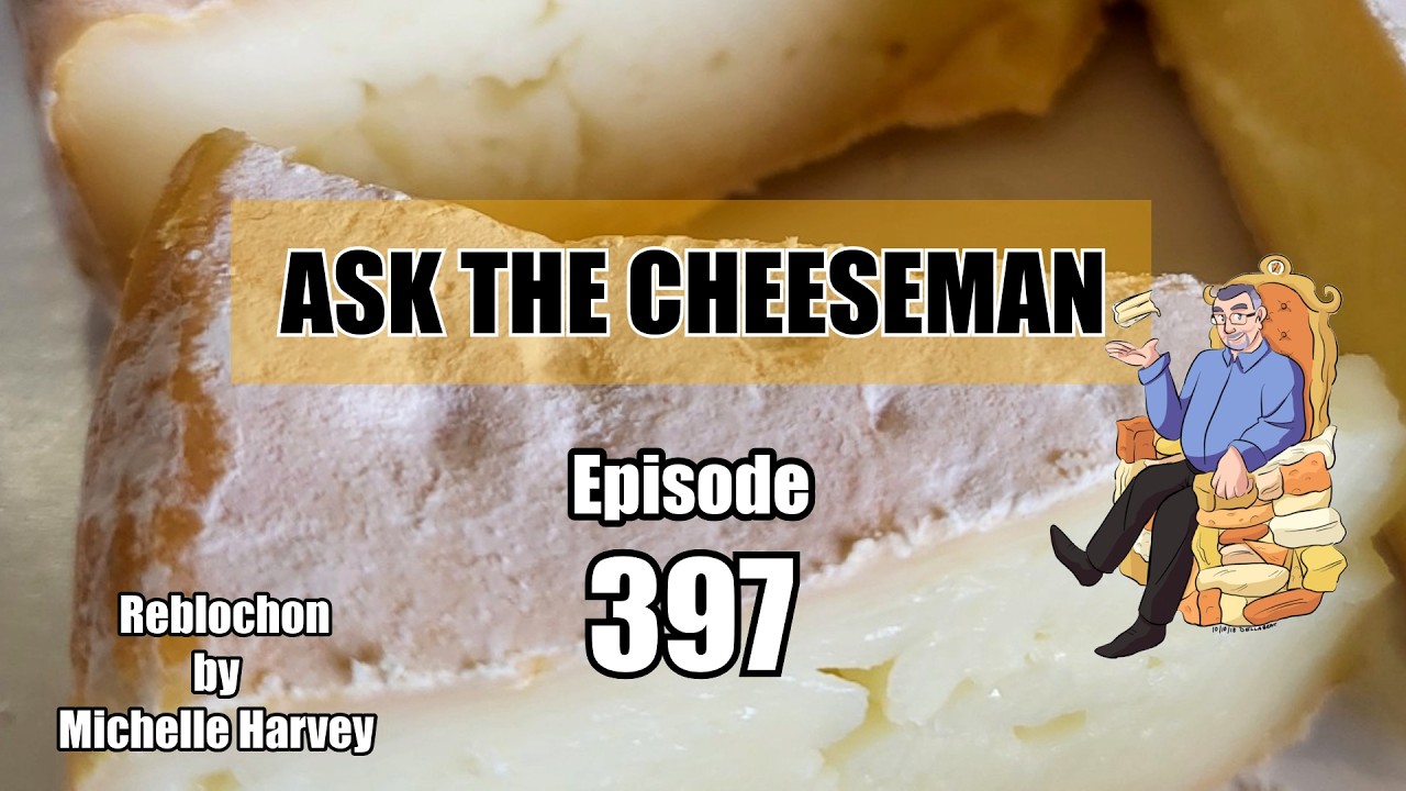 🔴 Ask the Cheeseman #397 🧀😍