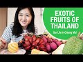 MUST TRY Fruits in Thailand | Expat Life in Chiang Mai