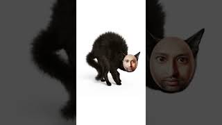 Look Ive Become A Cat ?? shorts viral ytshorts youtubeshorts