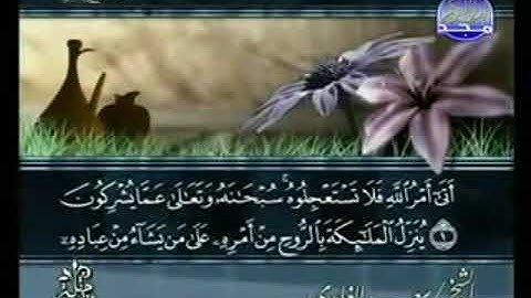 سورة النحل من الآية 1 الى الآية 14