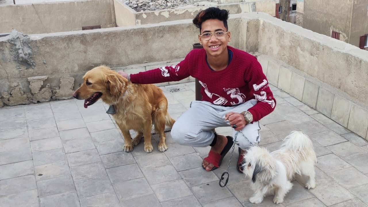 رد فعل لي لي لما جيبتلها كلب صاحبي يا تري عملت ايه 🤔☑️#yousef_goo #الرايقين