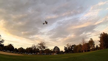 Techone Su-29 3d epp foamy stunt Greg006 2s profile