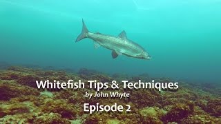 Whitefish Tips & Techniques Episode 2