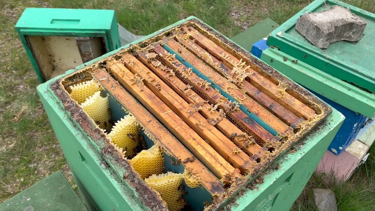 70/26 J3 na jižní Moravě ... snůška, krásné, trochu pozdě 13.4.26