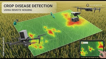 Remote Sensing and Precision Agriculture Technologies for Crop Disease Detection and Management