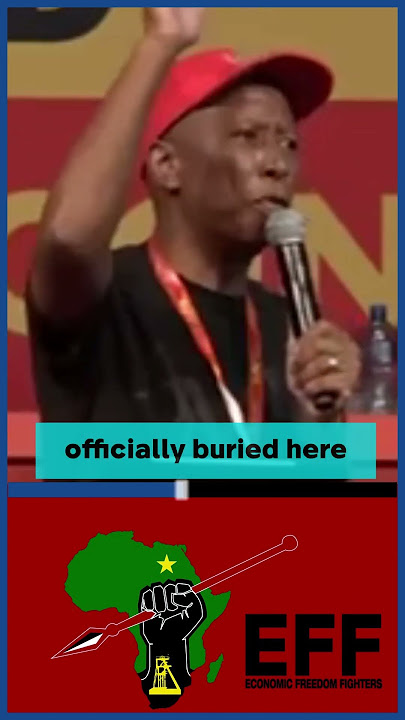 The EFF is here to stay, Malema