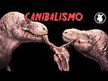 4 DINOSAURIOS CANÍBALES que DEBES CONOCER #horror #dinosaurs #paleontology