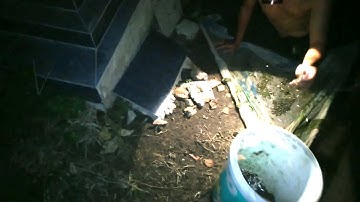 Kéo cá lòng tong gần khu Nghĩa Địa ban đêm về...