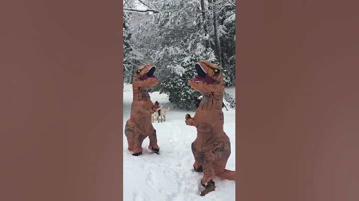 Dinosaurs Jam