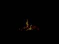 🔥 Hearthside Study Session | Dark Screen Crackling Fire for Reading & Concentration