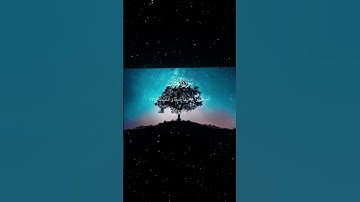 سورة الفرقان|72-76|القارئ:#محمد_اللحيدان #قران #quran #راحة_نفسية #قران_كريم#تلاوة_هادئة#تلاوة_خاشعة
