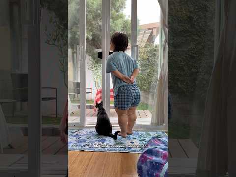 meet our lil foster moon #cat (she is up for adoption!)