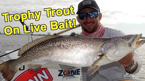 How To Catch Big Trout On Live Bait (With Capt. Pe...