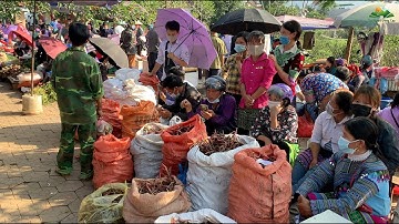 Đi Chợ Phiên Miền Núi Bán Nhiều Loại Thảo Dược quý & Đặc Sản Núi Rừng Tây Bắc | Tôi Người Vùng Cao