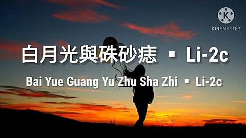 🎵白月光與碟砂痣 Bai Yue Guang Yu Zhu Sha Zhi 《Li-2c》pinyin Lyrics