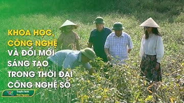 Khoa học, công nghệ và đổi mới sáng tạo trong thời đại công nghệ số | Thái Nguyên TV