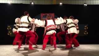 Vatravysnyanka Arkan At Carabram 2013