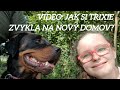 Jak si Trixie zvykla na nový domov? Co vše se stalo? Atd..