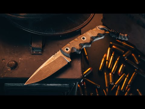 ???? LIVE TODAY | Exclusive updates + COMBATANT DEEP DIVE ????