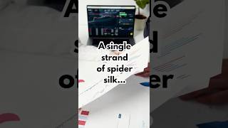 A single strand of spider silk is stronger than steel