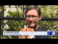 Paws of War gives second chance to rescued beagles on Long Island