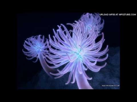Goldenfinger - Desert Flower from trance karahana 2 (eutuchia music)