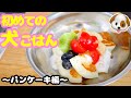 初めての犬ごはん！手作りパンケーキを作って子犬チワワとチワックスを喜ばせたい！