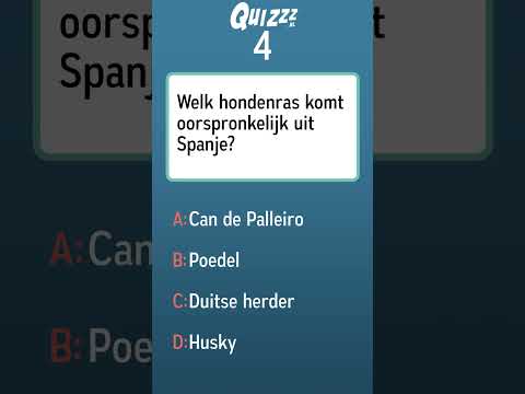 Which dog breed