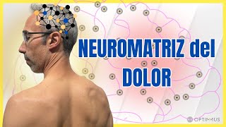 Lo Que No Te Han Contado De La Neuromatriz Del Dolor