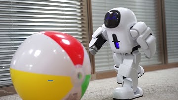 Leju Robotics--Pando, Feature Introduction 1:Blockly Programming