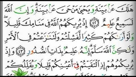 مصحف التجويد صفحة 182  ابراهيم الأخضر 🕋