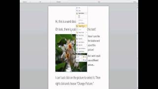 Tutorial: Use an Image as a Placeholder in Word 2010