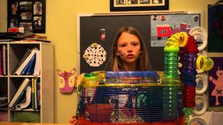 Everything Kids Need to Know About Gerbils: Episode 3: How to care for your Gerbil