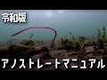 スイミングネコの基本はこれを見れば全て分かる！【タックル紹介あり】