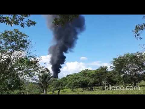 Destruyen complejo cocalero de alias ‘Gentil Duarte’ en Guaviare, 5 capturados