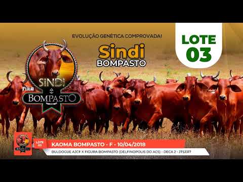 LOTE 03 - KAOMA BOMPASTO