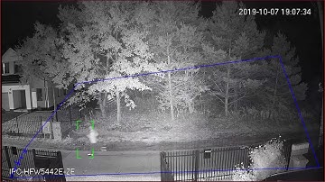 Dahua HFW5442 - Human detection AI