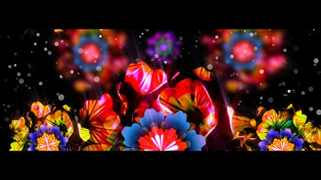VJ LOOPS / MOTION GRAPHICS / ANIMATION / VISUAL LOOPS / AFTER EFFECTS - FLOWERS - FULL COLOR