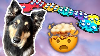 TALKING DOG Buttons -- BEST CLIPS, Cute moments, and funny videos