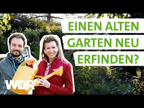 Video: Kindergartenprojekte: So erstellen Sie ein Gartenthema für ein Sonnenblumenhaus