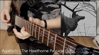 Agalloch - The Hawthorne Passage (Guitar Solo)